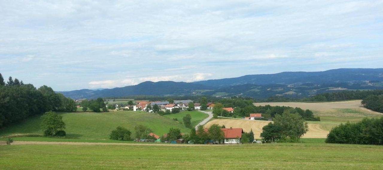 Gasthaus-Pension Hilmer Falkenfels エクステリア 写真