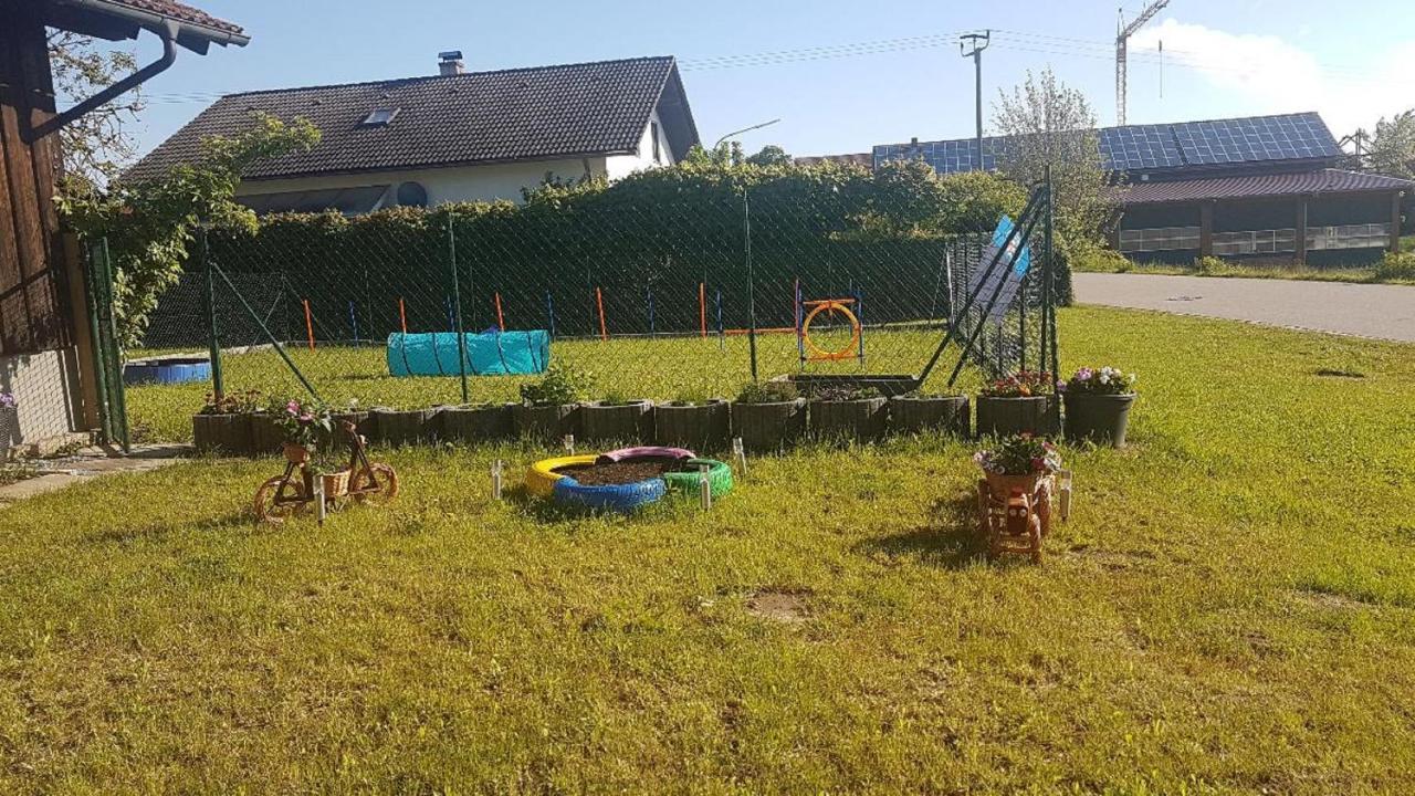Gasthaus-Pension Hilmer Falkenfels エクステリア 写真